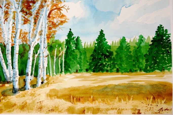 Northern Arizona Aspens