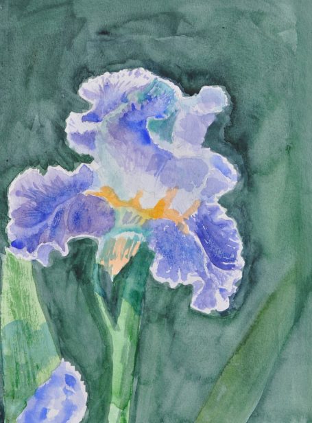 Iris Study #5