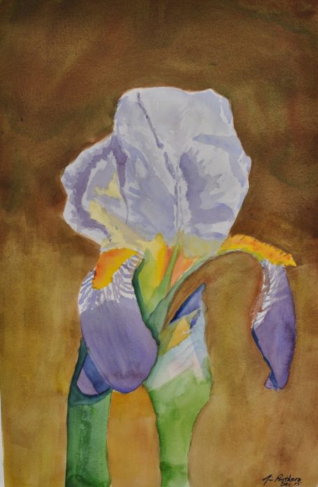 Iris Study #2